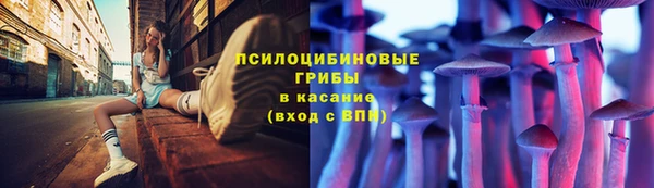 дурь Медвежьегорск