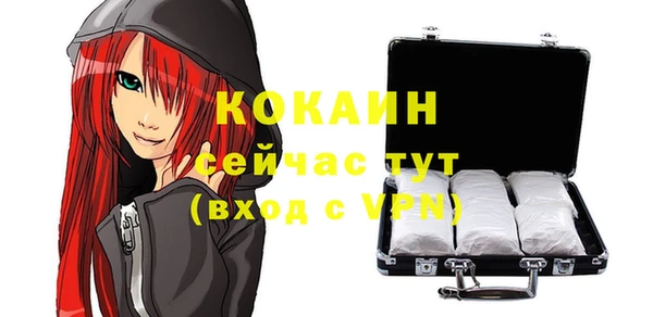стаф Медногорск