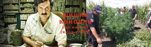 молекула духа Мегион