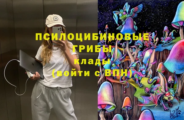 дурь Медвежьегорск
