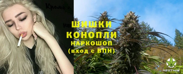 молекула духа Мегион