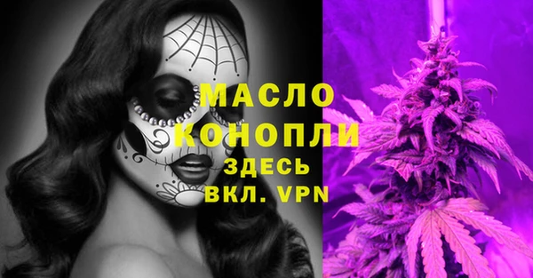 молекула духа Мегион