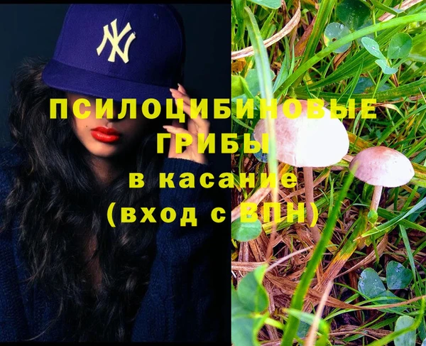дурь Медвежьегорск