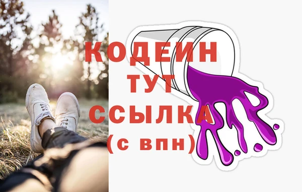 молекула духа Мегион