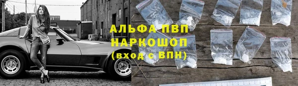 стаф Медногорск