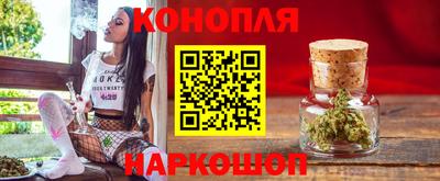 мдпв Гусев