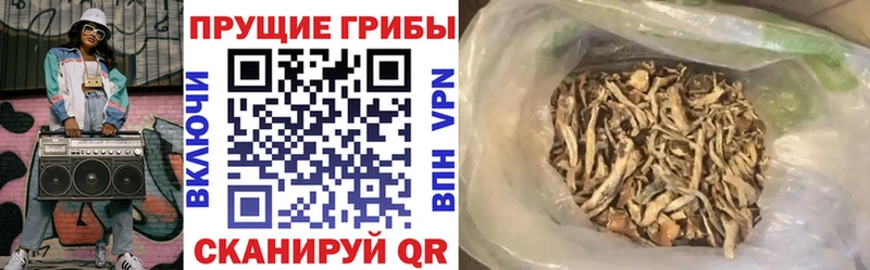 где найти   Наро-Фоминск  Галлюциногенные грибы Psilocybe 