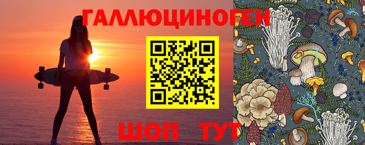 Наро-Фоминск  Псилоцибиновые грибы Cubensis  Вход с VPN 